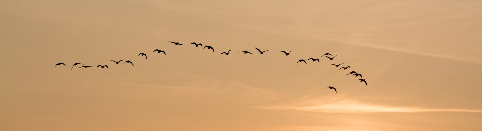 Leistungen und Termine